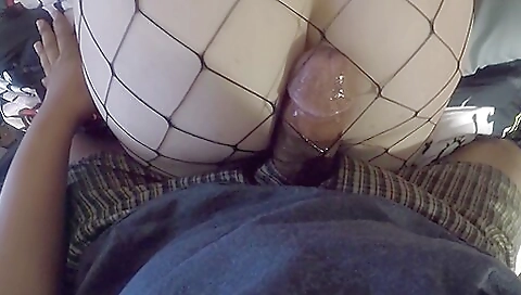 Netflix & Chill: Kitty Submits To Bbc Begging For More