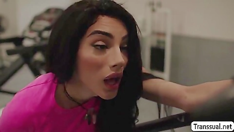 Brunette in sexy lingerie gets anal pounded by a lover