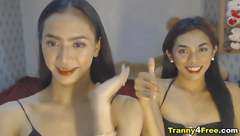 Asian babe with petite ass sucks and gets pounded in pussy